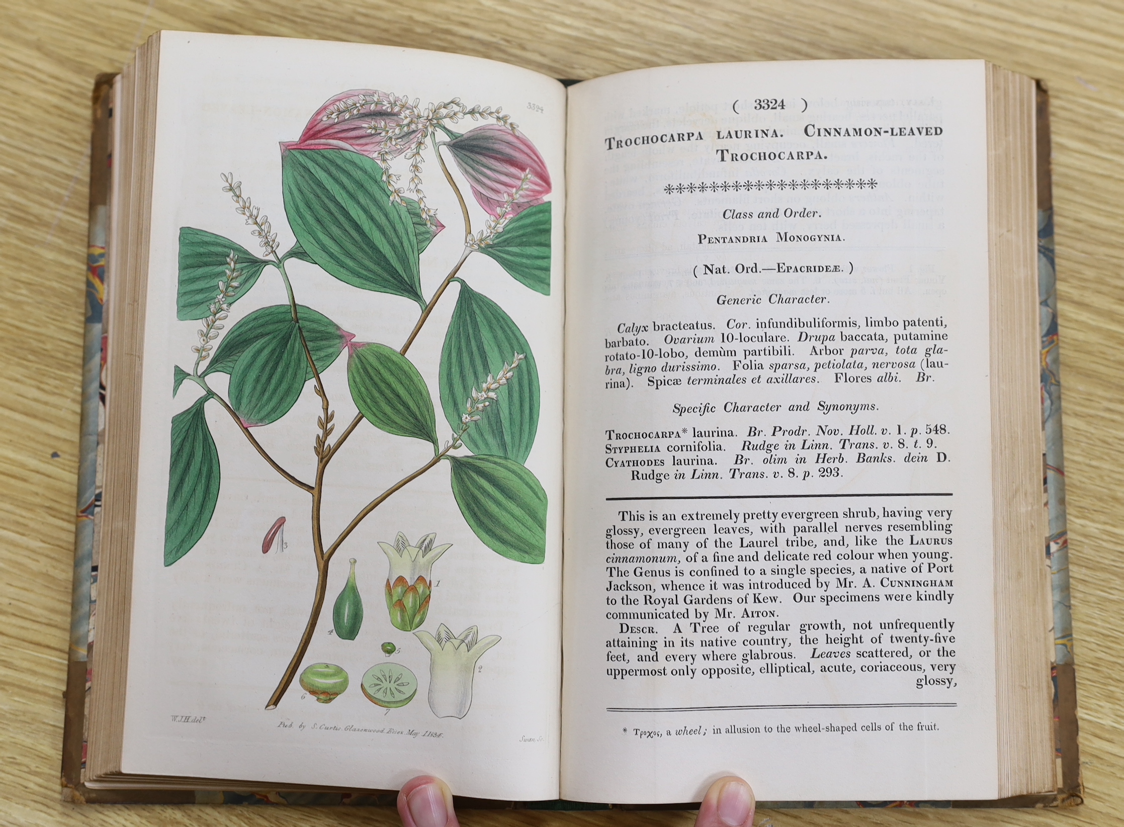 Curtis, William - A Botanical Magazine; or, Flower-Garden Displayed ... vols. IV, XI and XII (bound together), XIII and XV; New Series vol. VIII; Third Series vols. XII, XIV, XVI and XXIII. (10 vols).